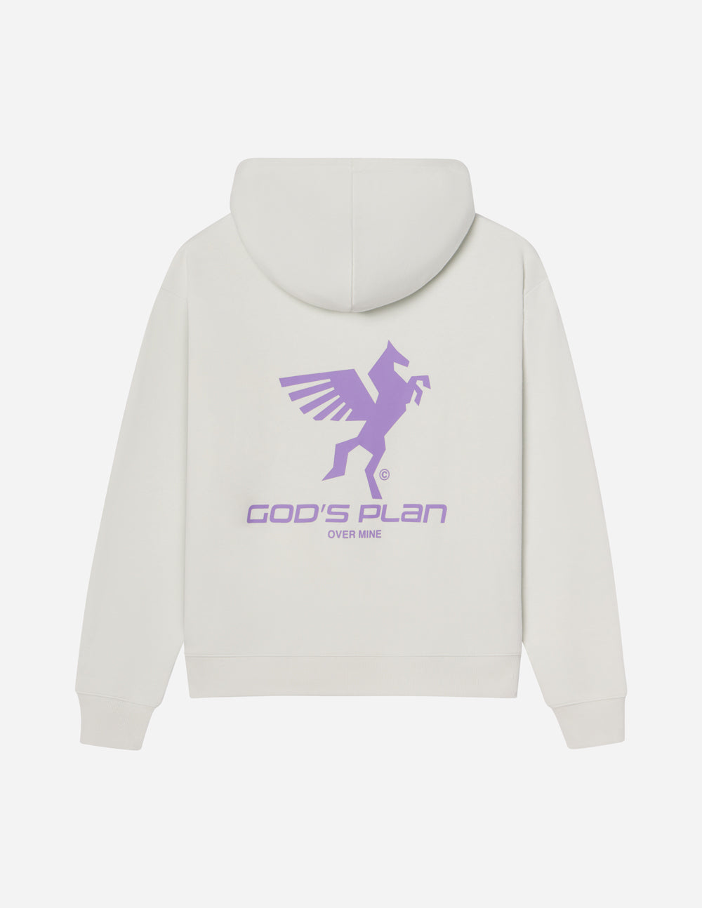God's Plan Racing Unisex Hoodie